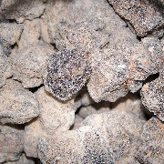 Eterino ulje tamjana dobiva se destilacijom vodenom parom smole